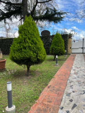 Affittacamere D’annunzio Pisa